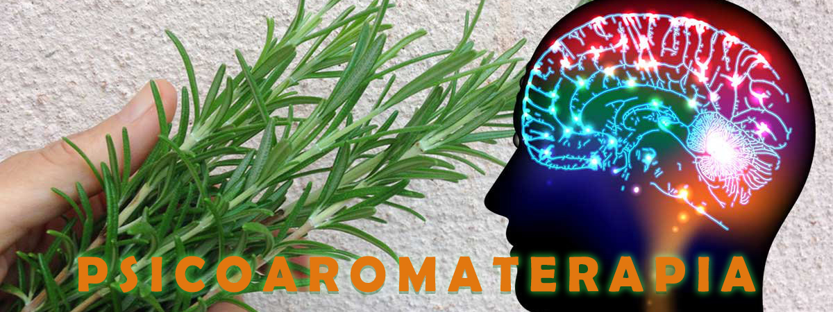 A Psicoaromaterapia